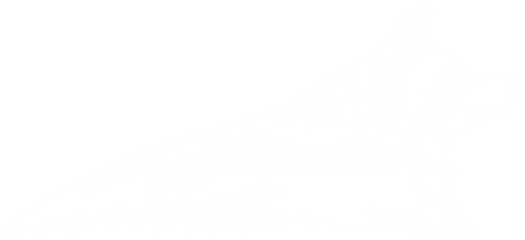 Wolfsmiths Heights
